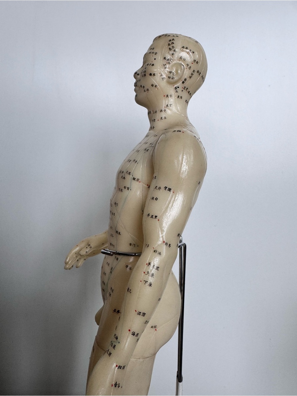 Vintage Acupuncture Model Nude Male Rubber Dummy w Vintage Avon Book - Picture 10 of 12